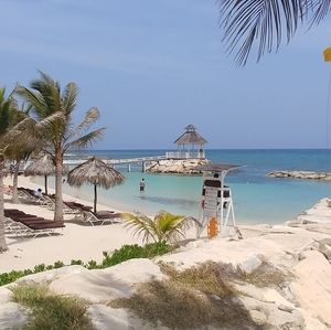 Meet your Posher, Molette